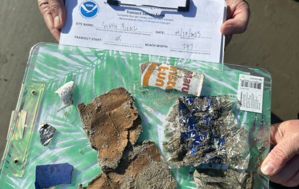 Marine debris collected during an MDMAP survey.
