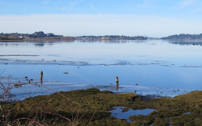 Coos Bay from Millicoma Marsh