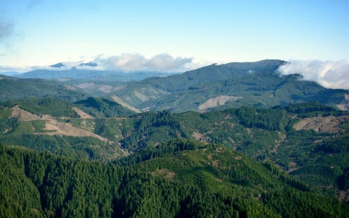 Clearcut watersheds in the Coast Range
